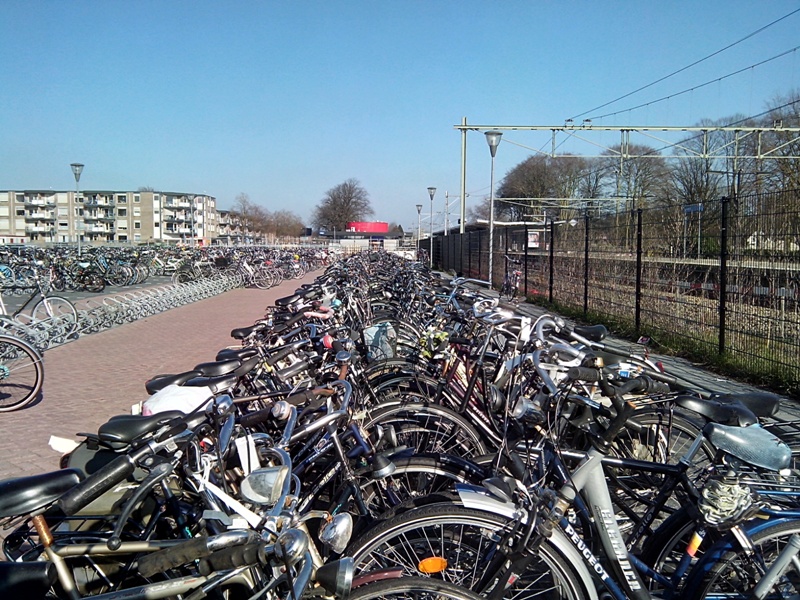 Weesfietsen station Harderwijk 2016